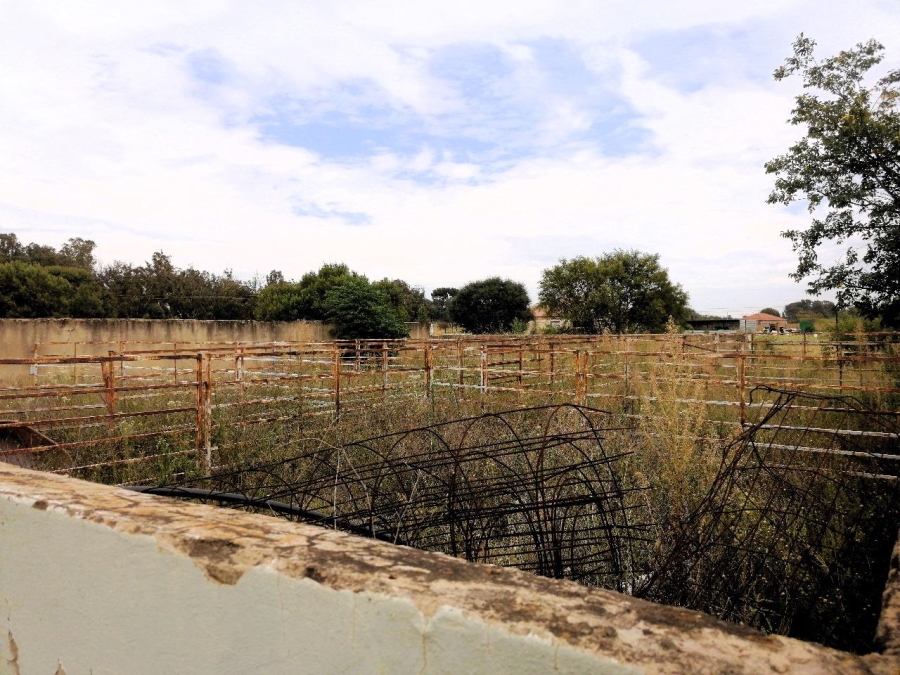 To Let 3 Bedroom Property for Rent in Blue Saddle Ranches Gauteng