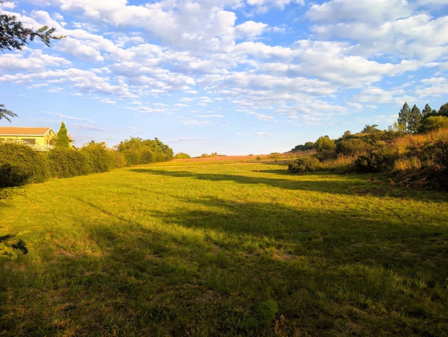 0 Bedroom Property for Sale in Blue Saddle Ranches Gauteng