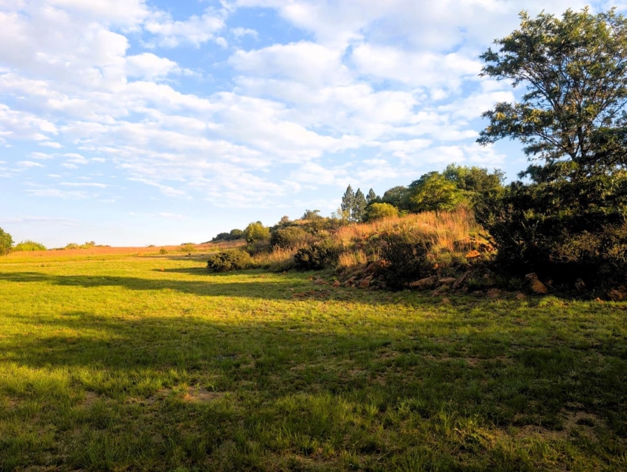 0 Bedroom Property for Sale in Blue Saddle Ranches Gauteng