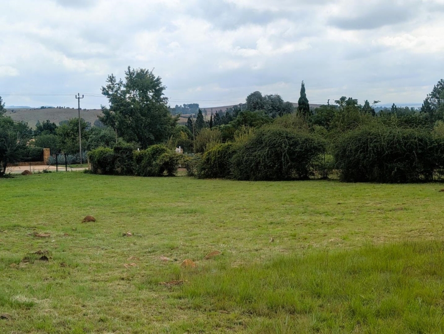 0 Bedroom Property for Sale in Blue Saddle Ranches Gauteng
