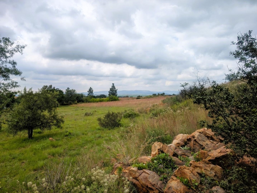 0 Bedroom Property for Sale in Blue Saddle Ranches Gauteng