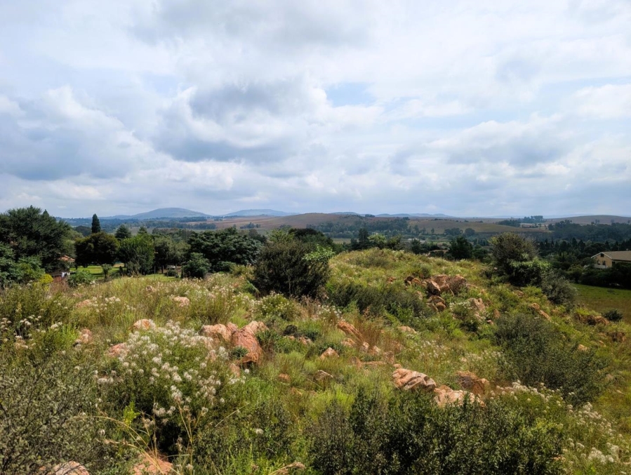 0 Bedroom Property for Sale in Blue Saddle Ranches Gauteng