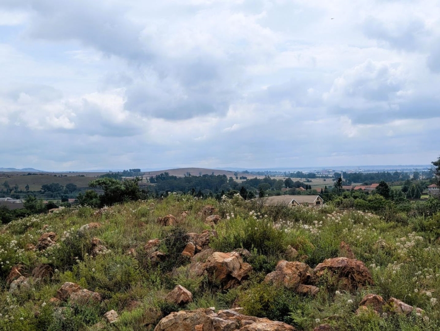 0 Bedroom Property for Sale in Blue Saddle Ranches Gauteng