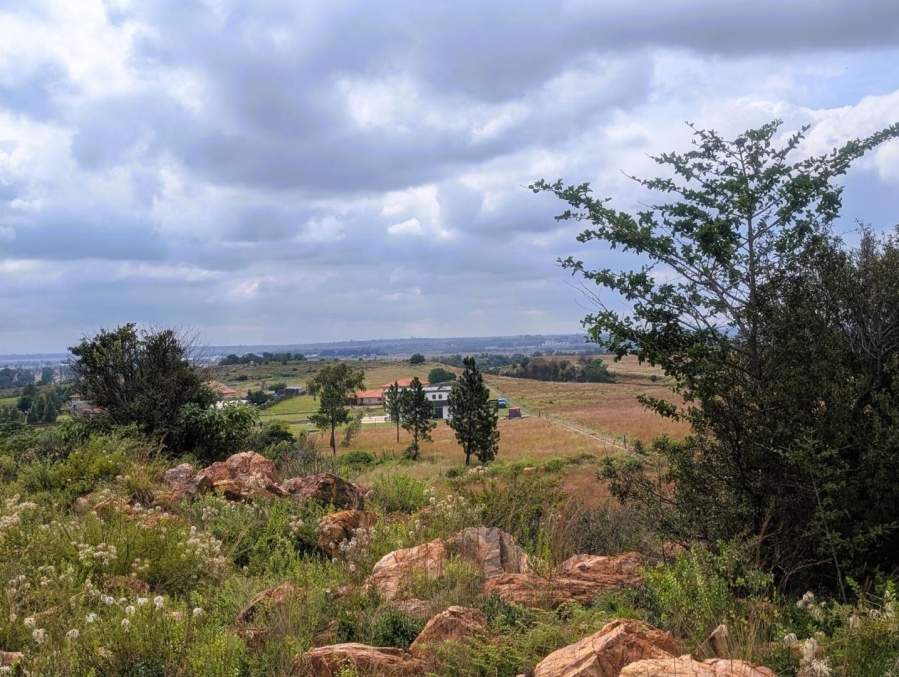 0 Bedroom Property for Sale in Blue Saddle Ranches Gauteng