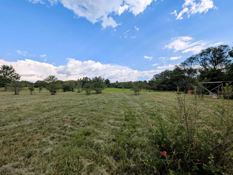 0 Bedroom Property for Sale in Blue Saddle Ranches Gauteng