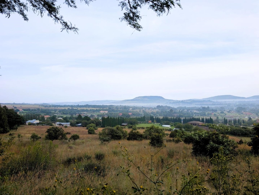 0 Bedroom Property for Sale in Blue Saddle Ranches Gauteng
