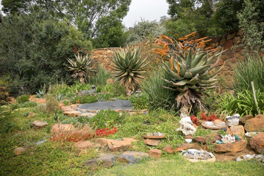 4 Bedroom Property for Sale in Blue Saddle Ranches Gauteng