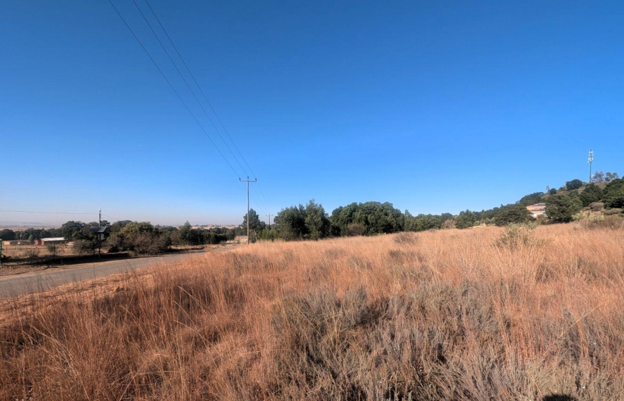 0 Bedroom Property for Sale in Blue Saddle Ranches Gauteng