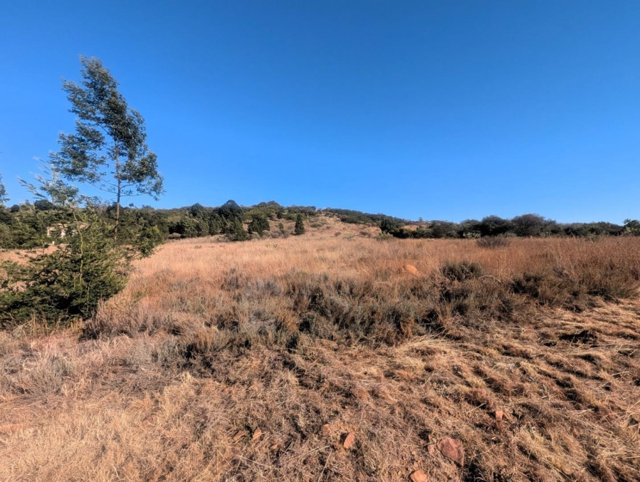 0 Bedroom Property for Sale in Blue Saddle Ranches Gauteng