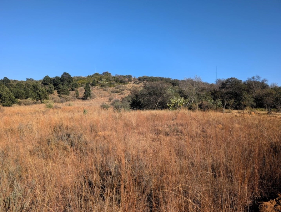 0 Bedroom Property for Sale in Blue Saddle Ranches Gauteng
