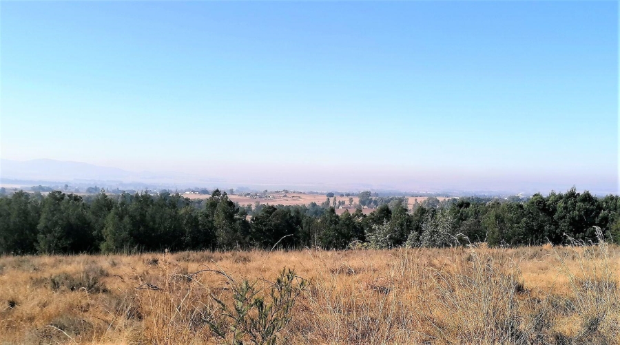 0 Bedroom Property for Sale in Blue Saddle Ranches Gauteng