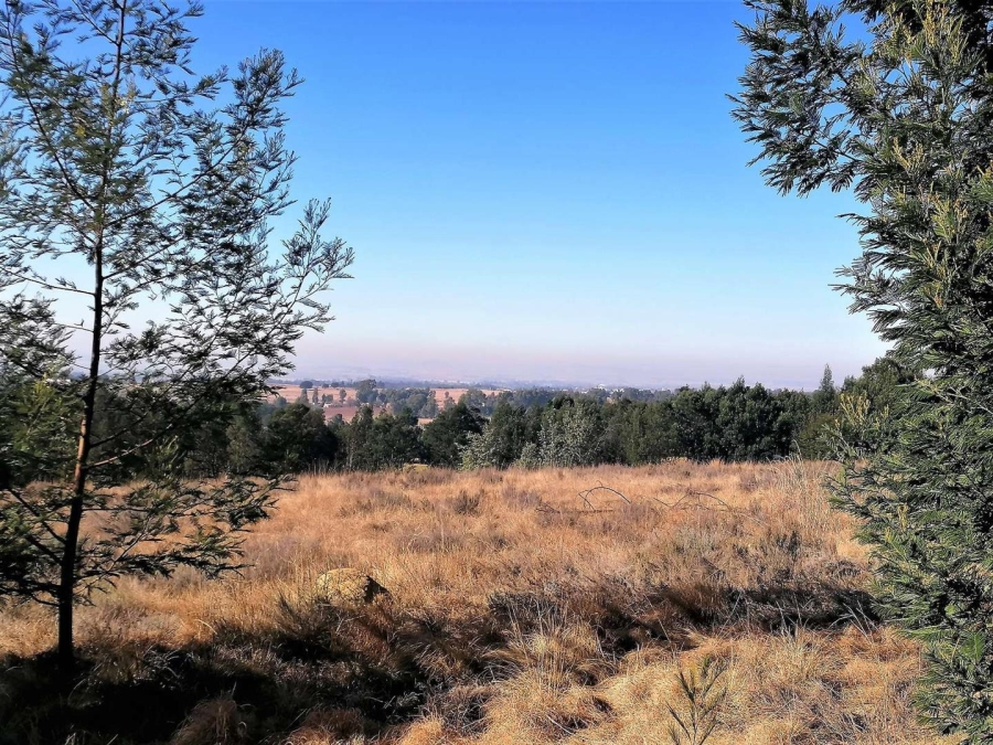 0 Bedroom Property for Sale in Blue Saddle Ranches Gauteng