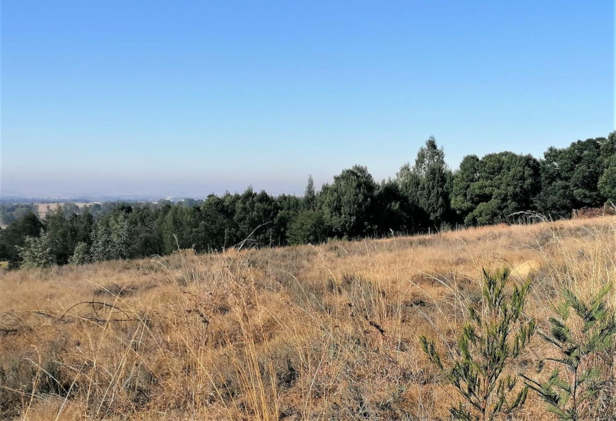 0 Bedroom Property for Sale in Blue Saddle Ranches Gauteng