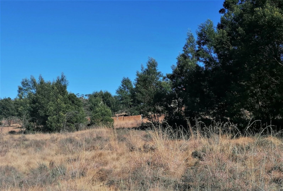 0 Bedroom Property for Sale in Blue Saddle Ranches Gauteng