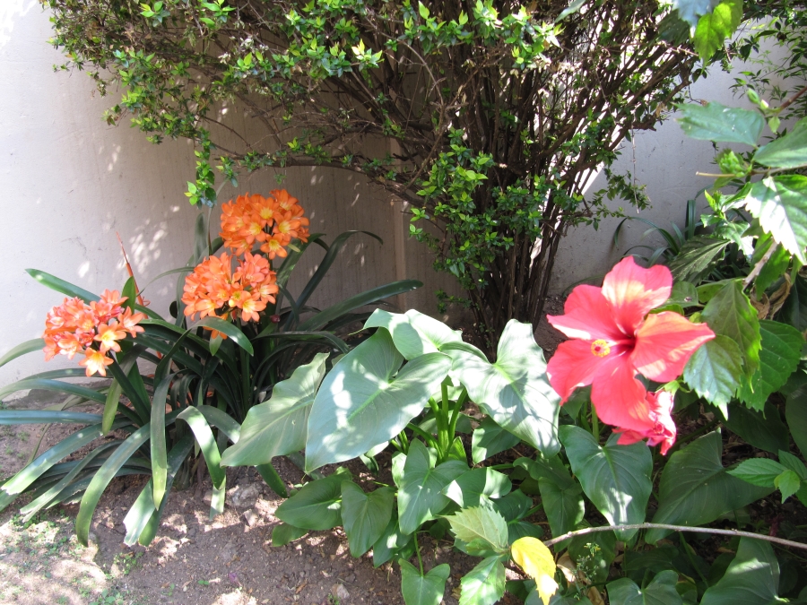 To Let 2 Bedroom Property for Rent in Hyde Park Gauteng