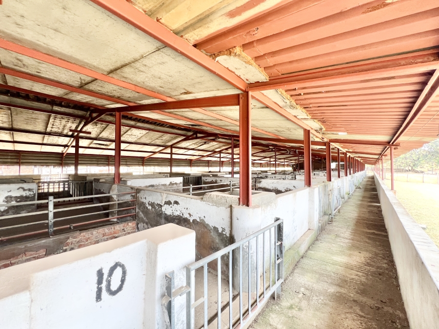 4 Bedroom Property for Sale in Knoppieslaagte Gauteng