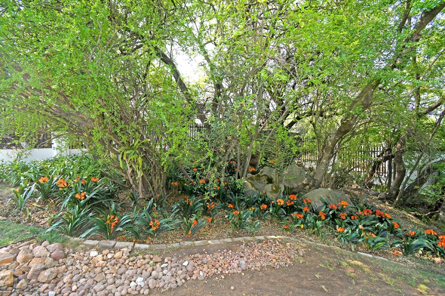 4 Bedroom Property for Sale in Olivedale Gauteng
