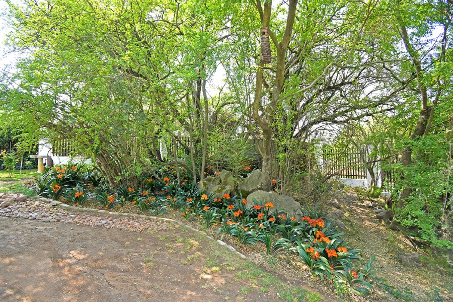 4 Bedroom Property for Sale in Olivedale Gauteng