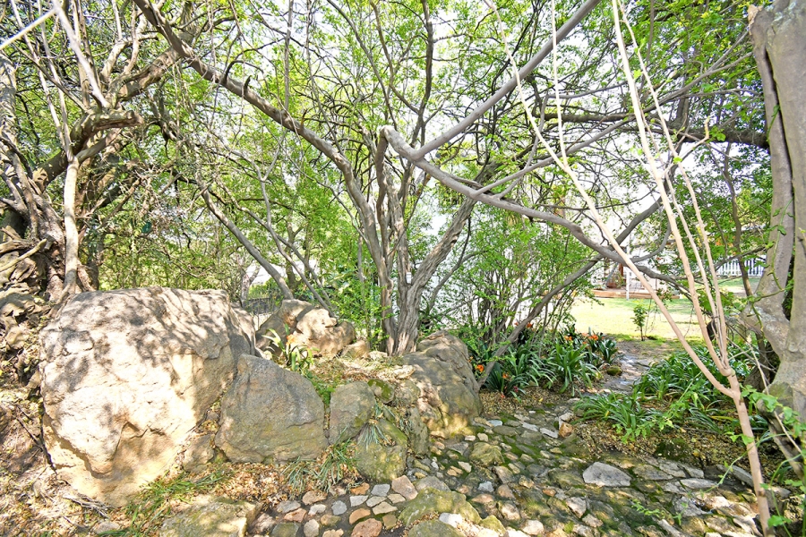4 Bedroom Property for Sale in Olivedale Gauteng