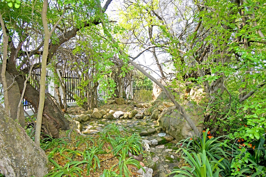 4 Bedroom Property for Sale in Olivedale Gauteng