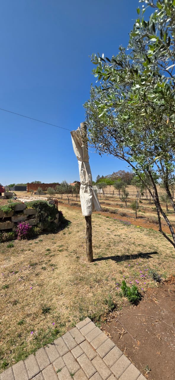 0 Bedroom Property for Sale in Vanwaartshof Gauteng