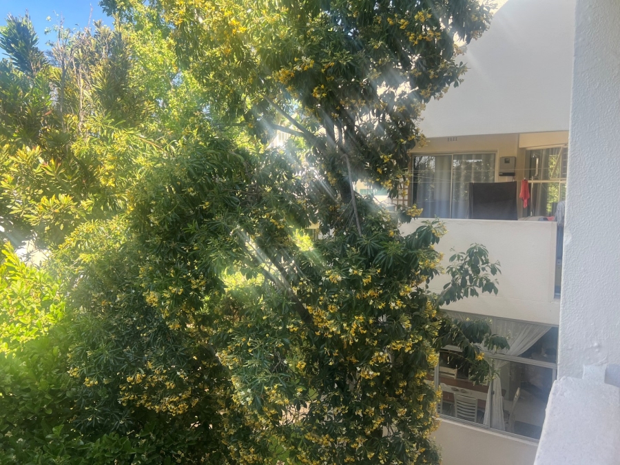To Let 1 Bedroom Property for Rent in Illovo Gauteng