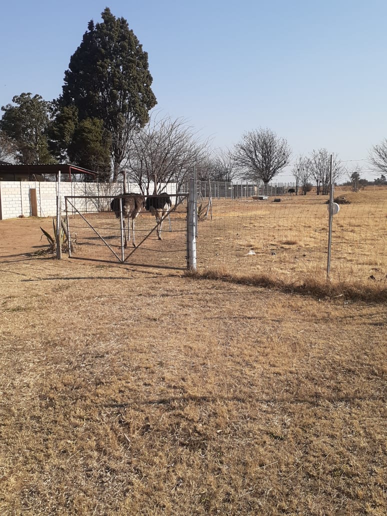 3 Bedroom Property for Sale in Roodia Gauteng