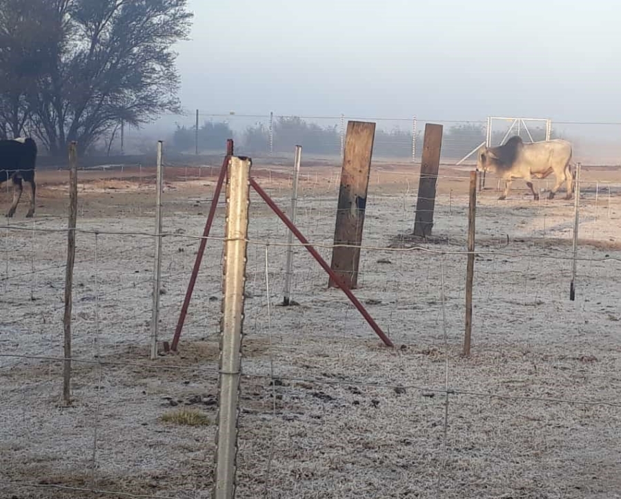 3 Bedroom Property for Sale in Roodia Gauteng
