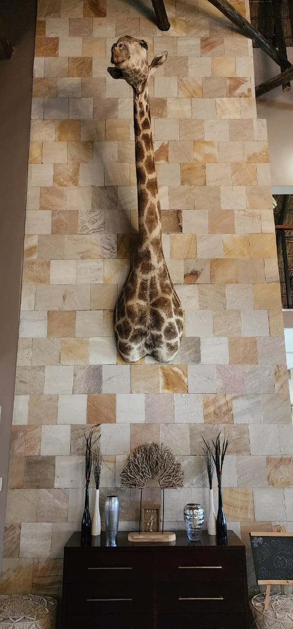 7 Bedroom Property for Sale in Vaalview Gauteng