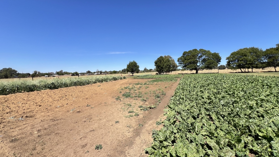 3 Bedroom Property for Sale in Elandsvlei Gauteng
