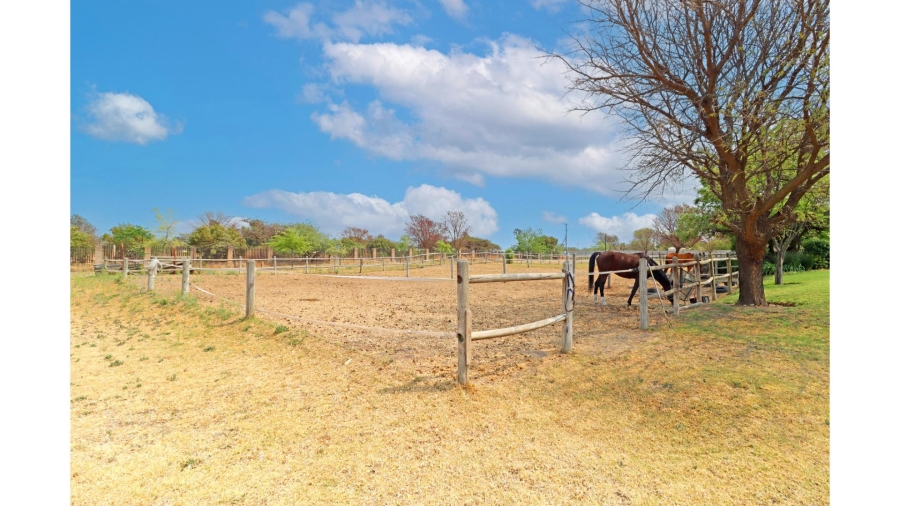 2 Bedroom Property for Sale in Sun Valley Gauteng