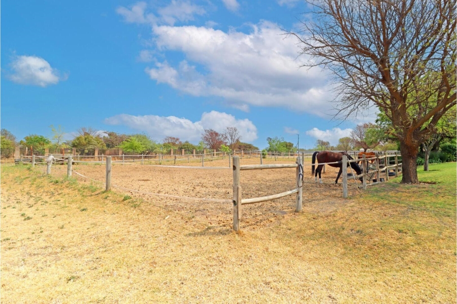 2 Bedroom Property for Sale in Sun Valley Gauteng