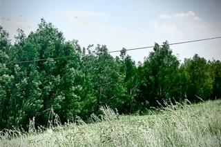 0 Bedroom Property for Sale in Blue Saddle Ranches Gauteng