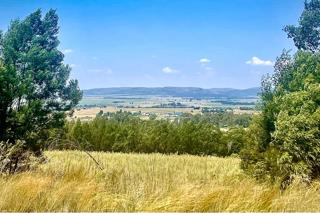 0 Bedroom Property for Sale in Blue Saddle Ranches Gauteng