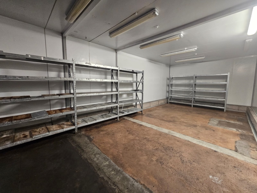To Let commercial Property for Rent in Lynnwood Gauteng