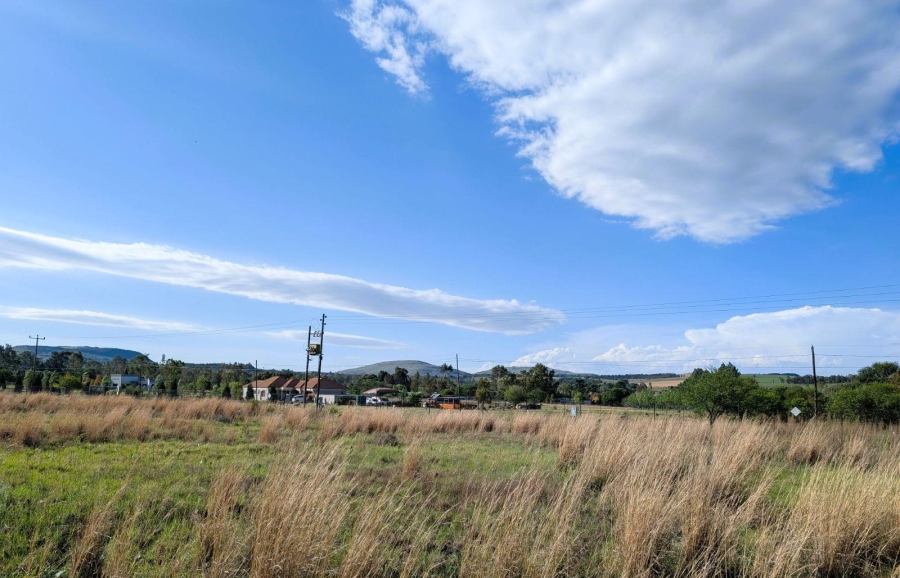 0 Bedroom Property for Sale in Blue Saddle Ranches Gauteng