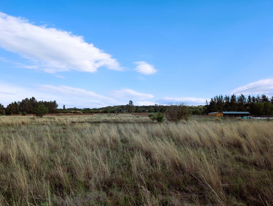 0 Bedroom Property for Sale in Blue Saddle Ranches Gauteng