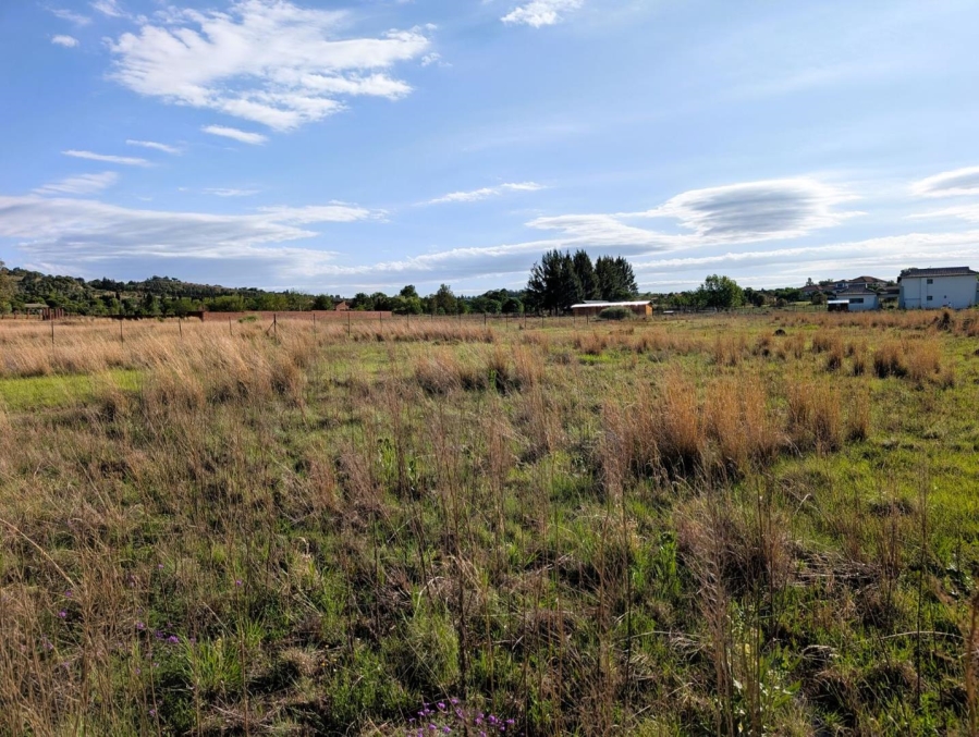 0 Bedroom Property for Sale in Blue Saddle Ranches Gauteng
