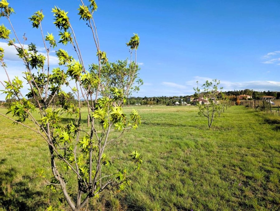 0 Bedroom Property for Sale in Blue Saddle Ranches Gauteng