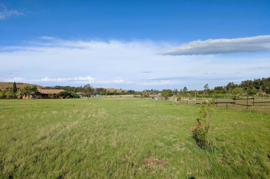 0 Bedroom Property for Sale in Blue Saddle Ranches Gauteng