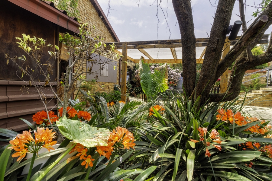 3 Bedroom Property for Sale in Wilgeheuwel Gauteng
