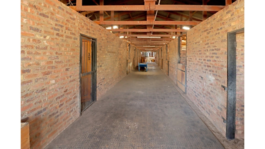 4 Bedroom Property for Sale in Sun Valley Gauteng