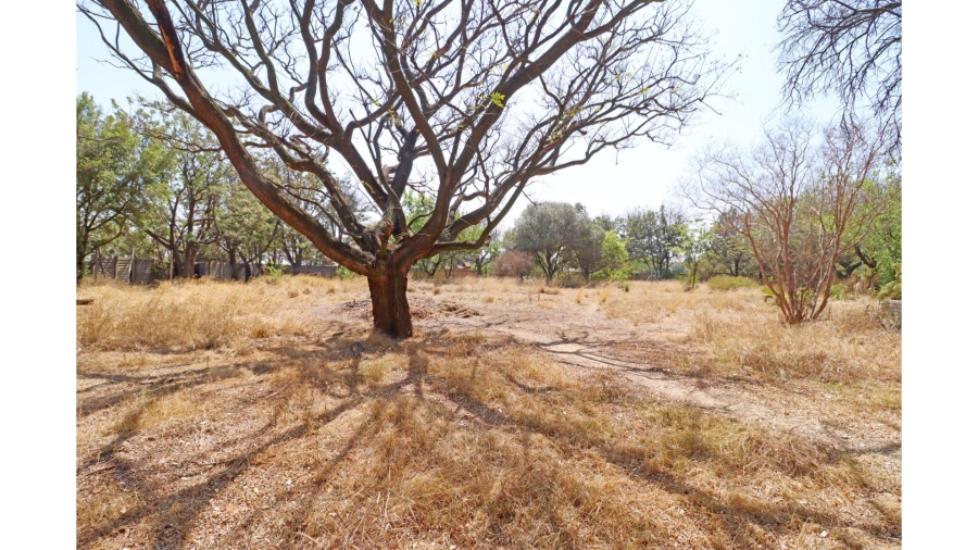 4 Bedroom Property for Sale in Sun Valley Gauteng