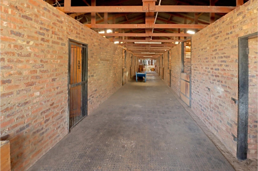 4 Bedroom Property for Sale in Sun Valley Gauteng