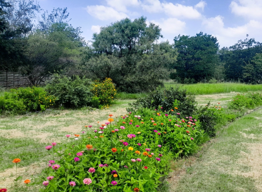 2 Bedroom Property for Sale in Glen Austin Gauteng