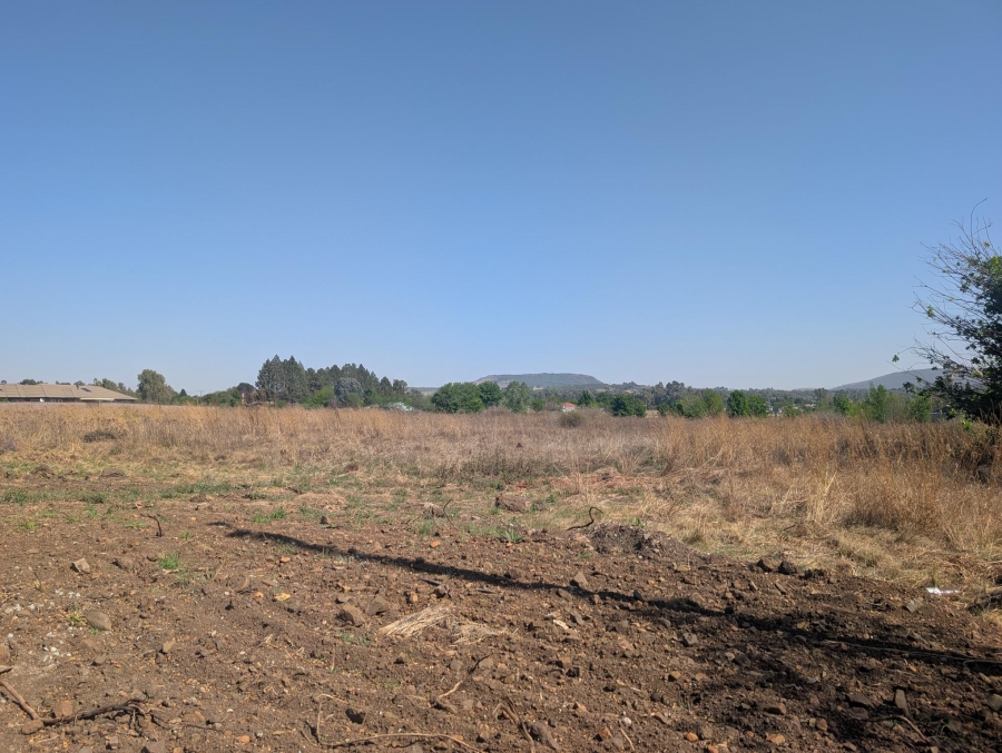 0 Bedroom Property for Sale in Blue Saddle Ranches Gauteng