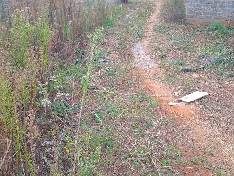 0 Bedroom Property for Sale in Kookrus Gauteng