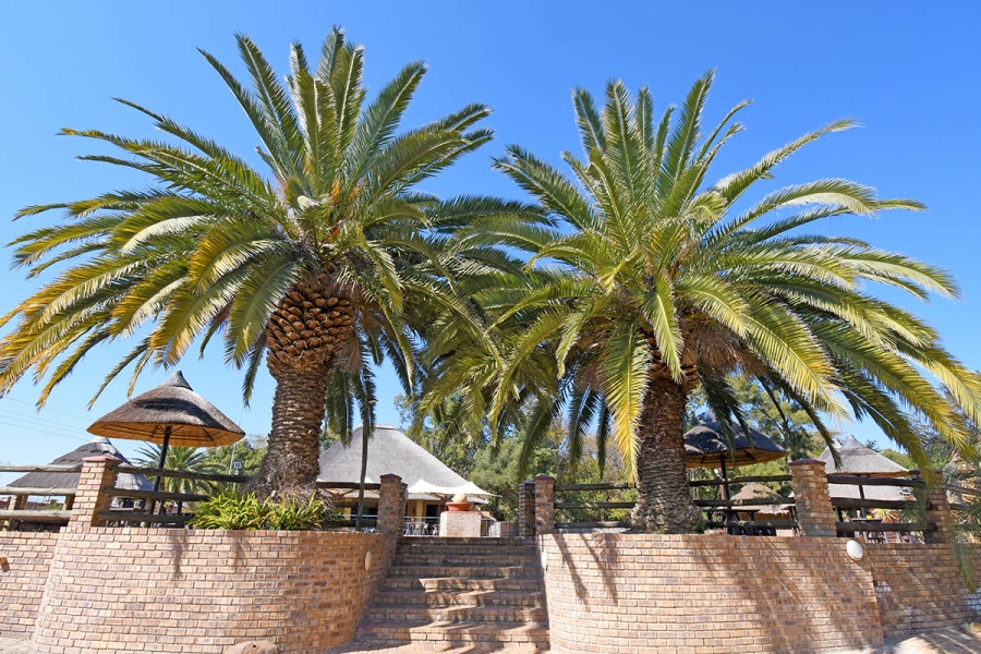 29 Bedroom Property for Sale in Chartwell Gauteng