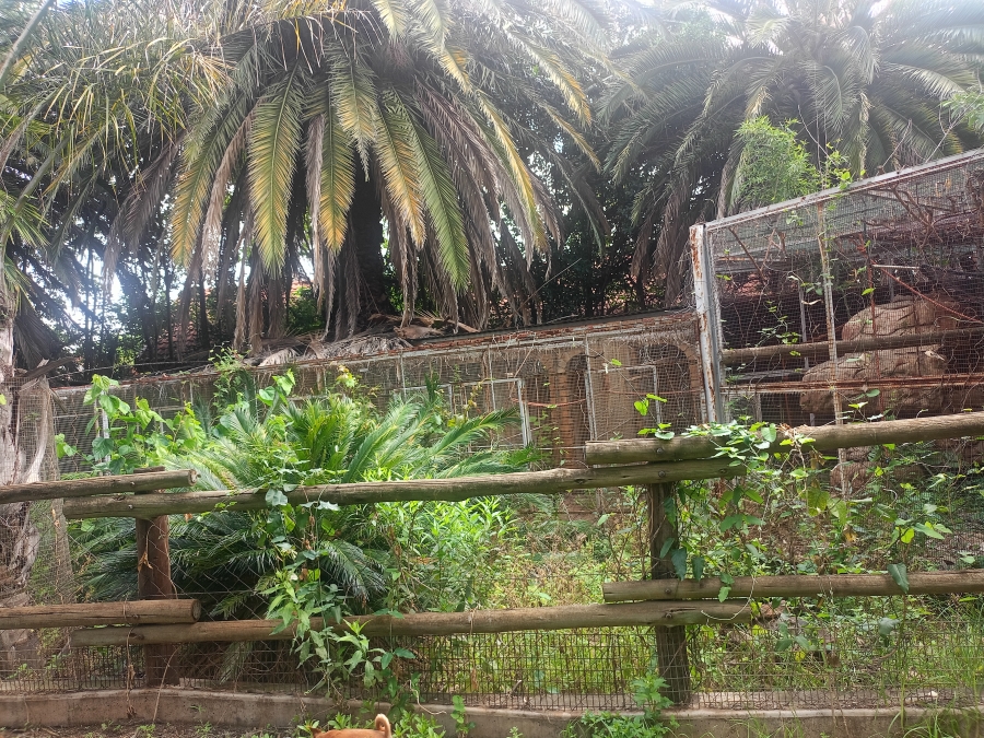 4 Bedroom Property for Sale in Sonland Park Gauteng