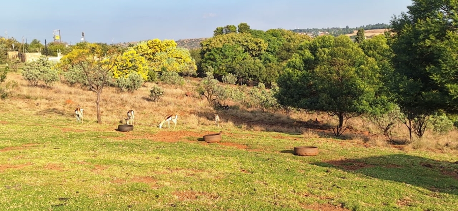 6 Bedroom Property for Sale in Protea Ridge Gauteng